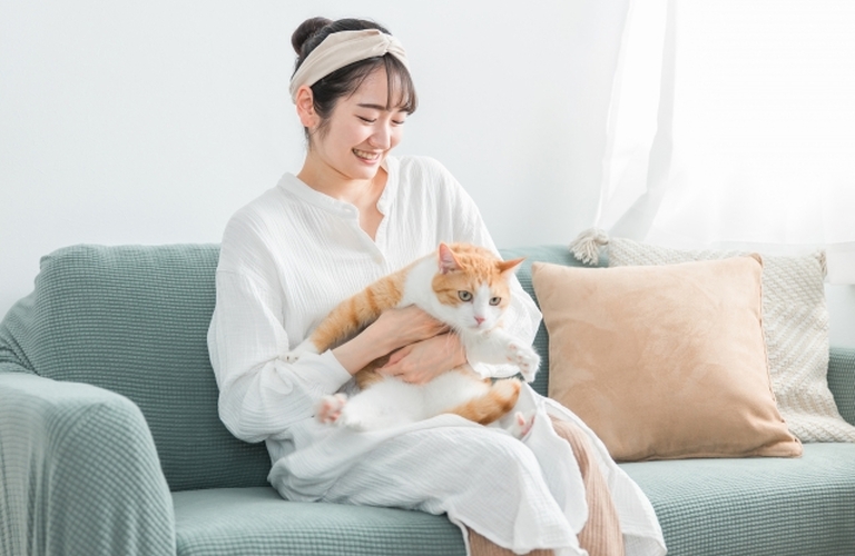 猫が好きな方の婚活を支援する結婚相談所 | 高田馬場から全国の婚活者を支援