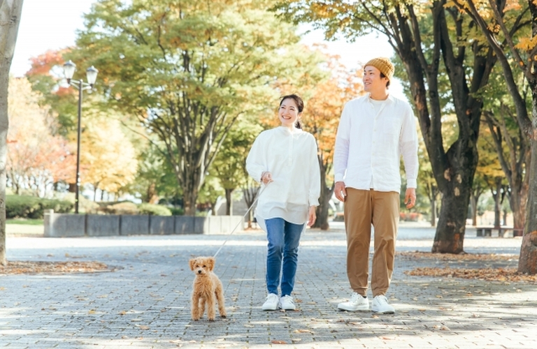 ウォーキングを行う方に適した結婚相談所 | 高田馬場から全国の婚活者を支援