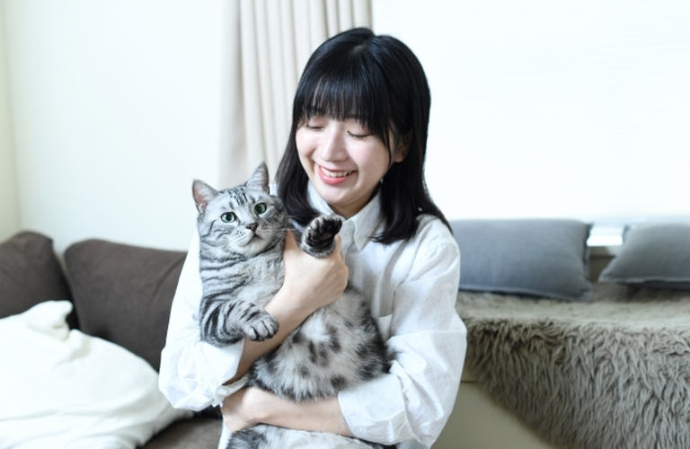 猫好きを婚活に活かす：自然な出会いと結婚相談所でのチャンスを掴む方法｜新宿区から全国の婚活者を支援する結婚相談所